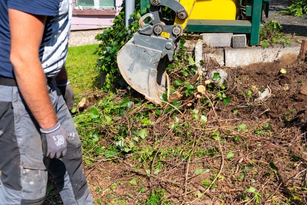 Hedge Removal Service in Mooresville