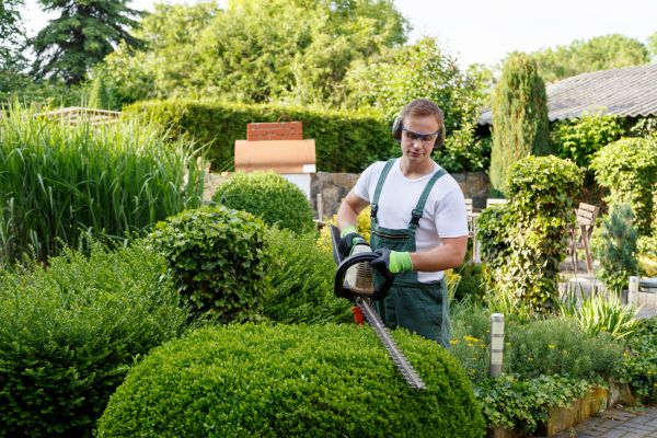 Shrubs Trimming in Mooresville