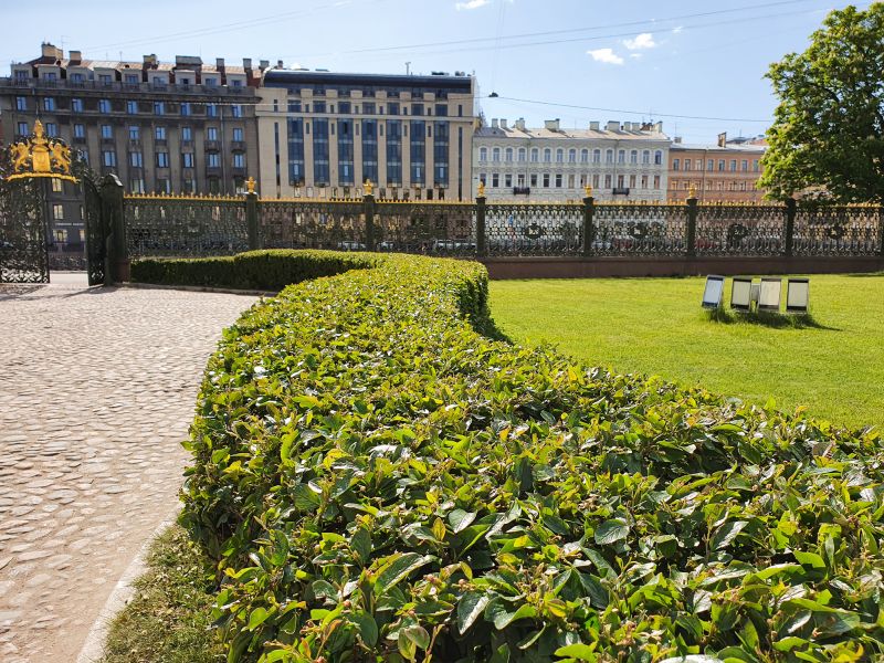 Shrubs Along Driveway