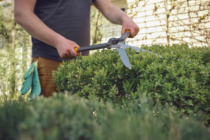 Pruning Shrubs in Fall