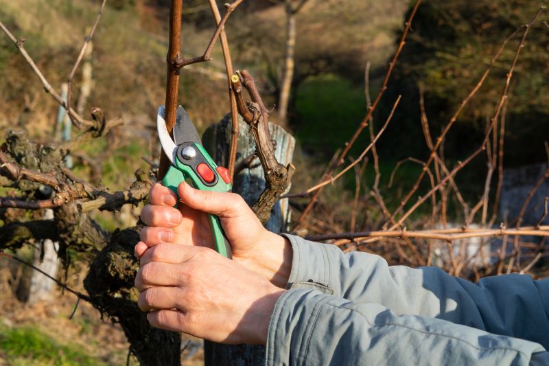 Pruning Tools