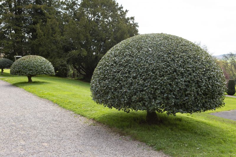 Topiary Shaping